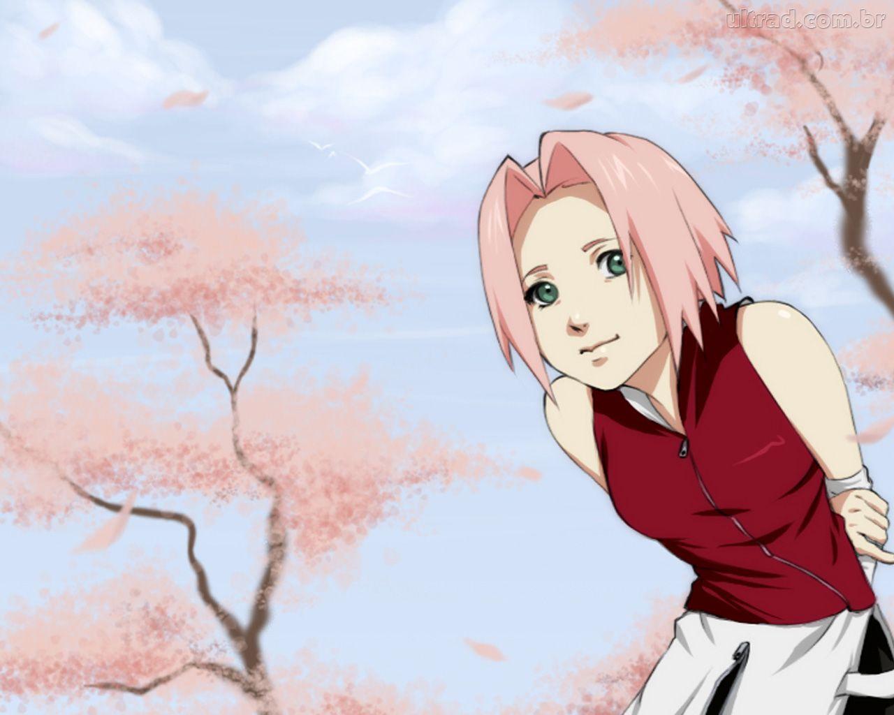 Sakura sakurada
