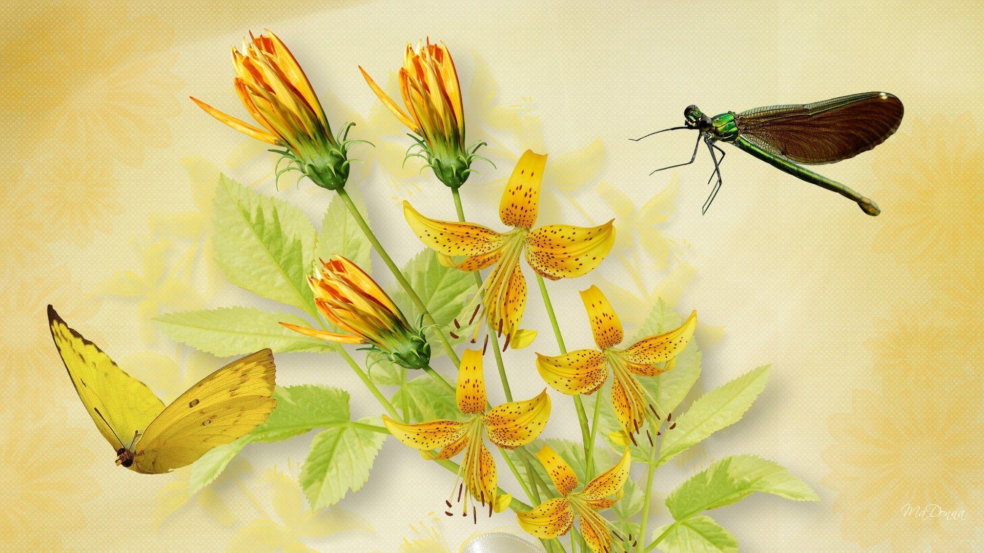 Dashing Multi Color Butterflies On Yellow Flowers Wallpaper. HD