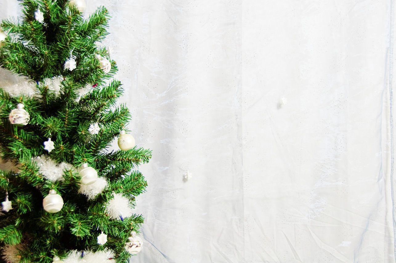 Enchanted Image: Winter Christmas Background