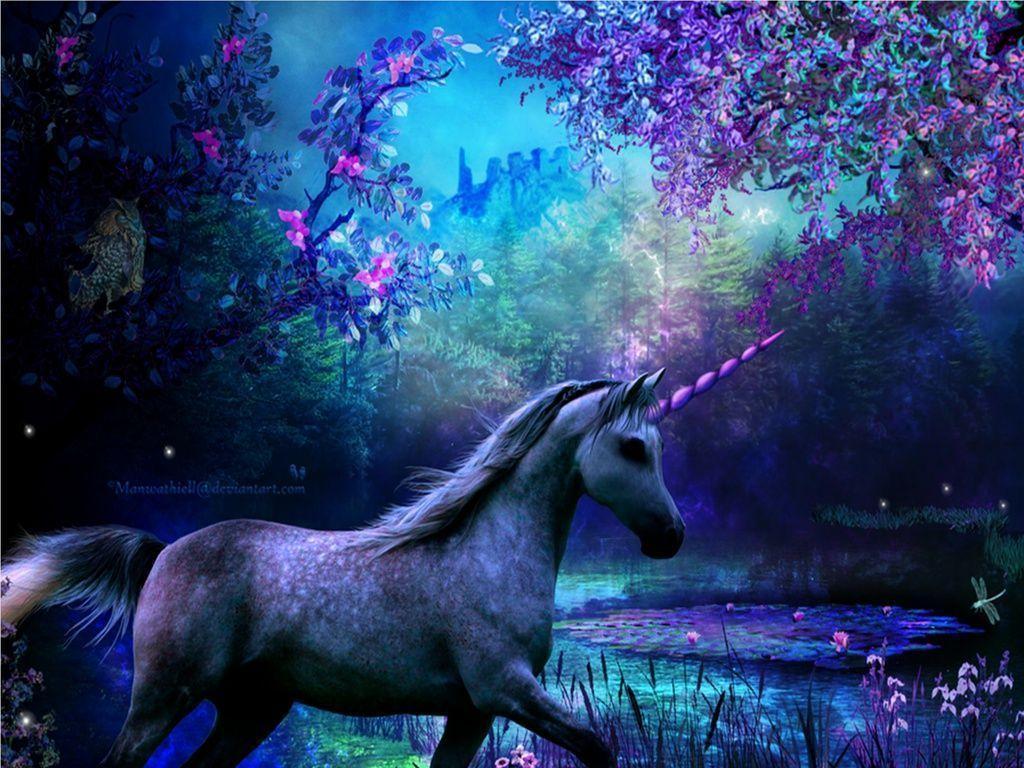 Wallpaper Unicorns Unicorn The Free Twilight 1024x768PX