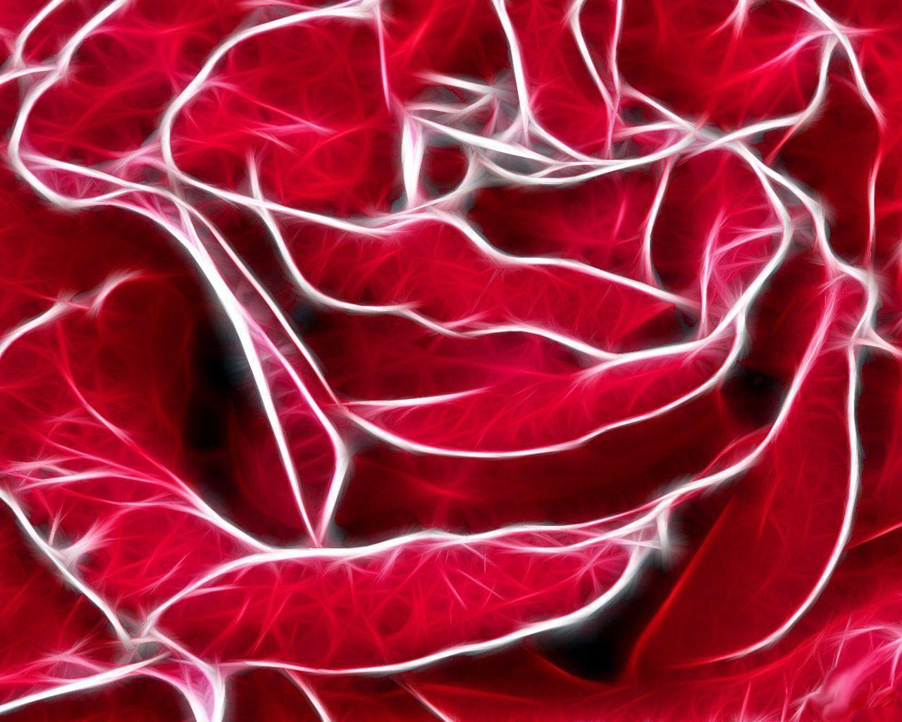 Desktop Wallpaper · Gallery · Windows 7 · Red rose