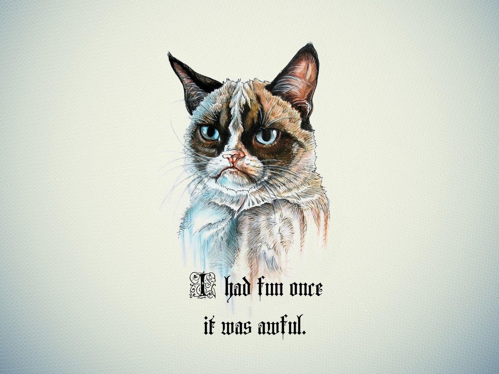 Funny grumpy cat wallpaper