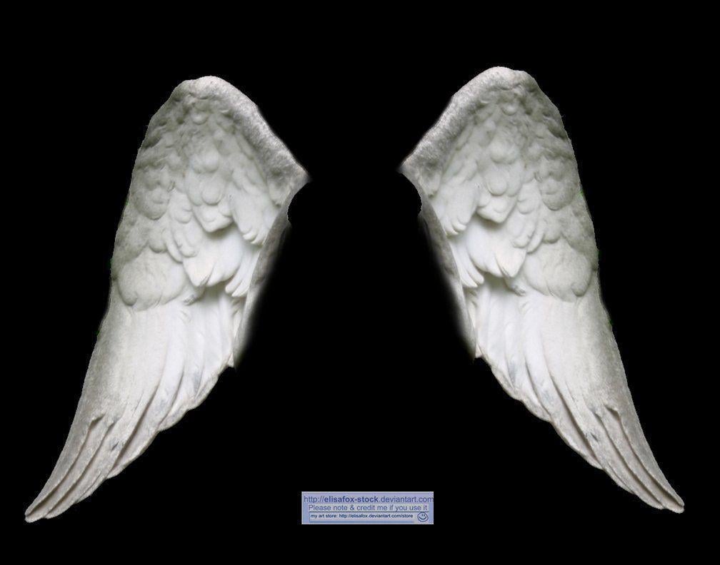 image For > Angel Wings Gif