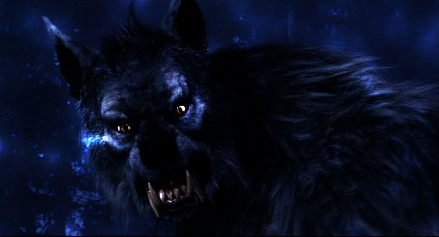 Download Dark Werewolf Wallpaper 1497x810