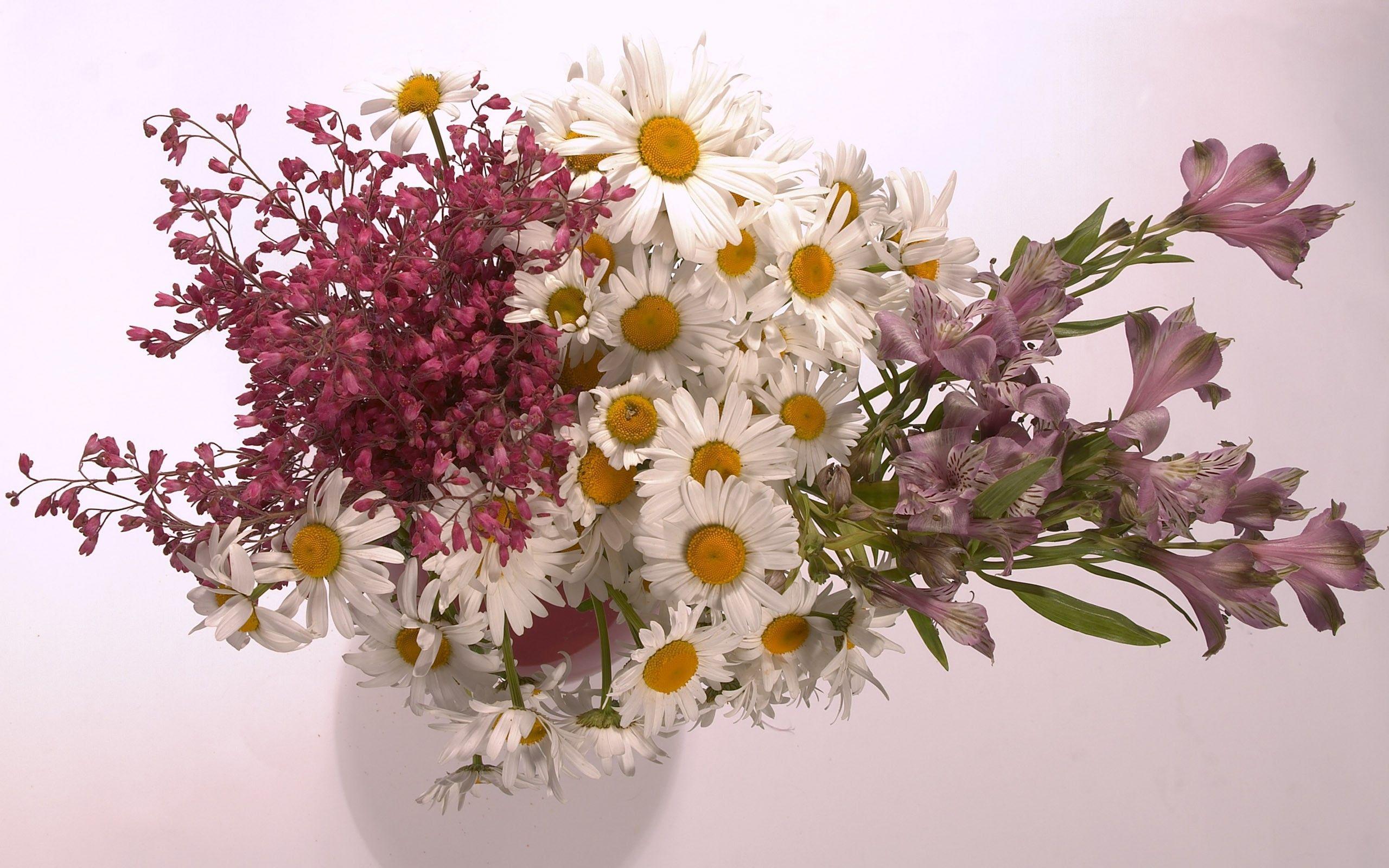 Download Flowers Bouquet Wallpaper 2560x1600