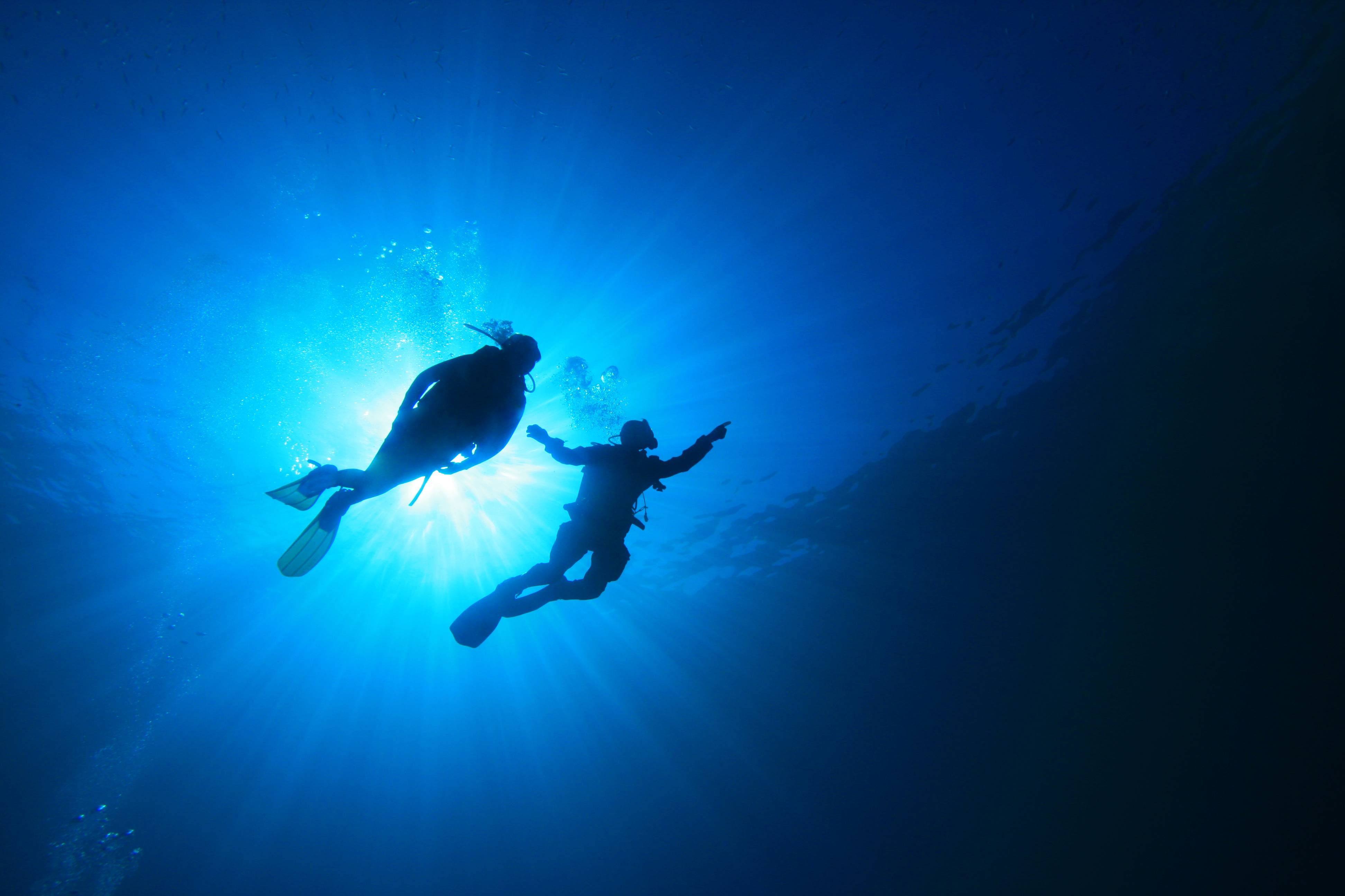 Scuba Diving. Wallpaper HD