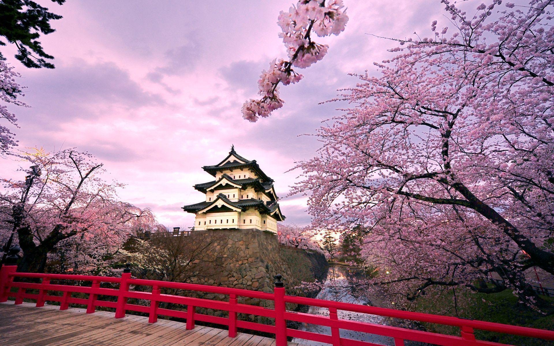 Hirosaki Castle Japan Cherry, Nature, Landscape. Free HD wallpaper
