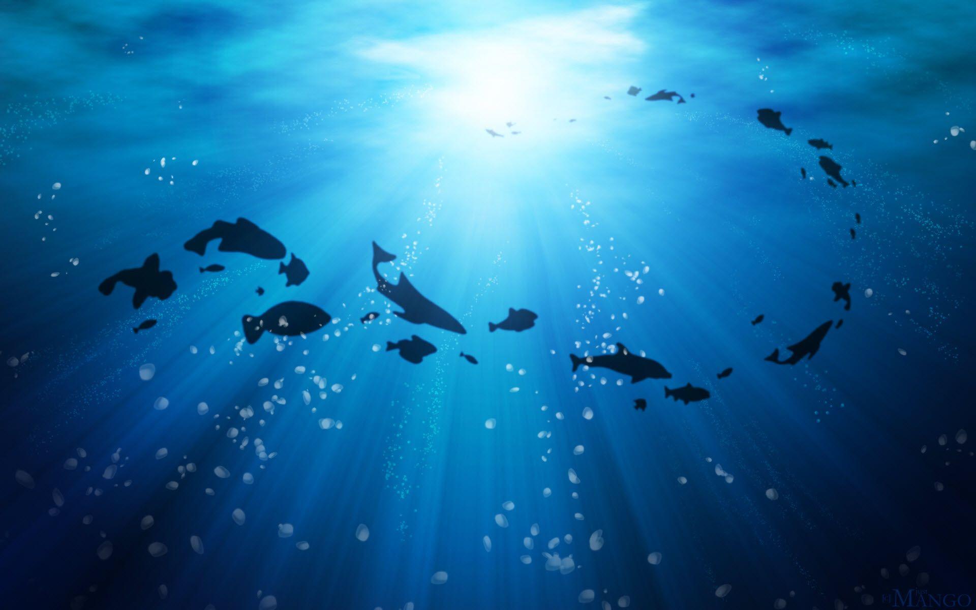 Under Ocean Wallpaper 31461 HD Picture. Top Background Free
