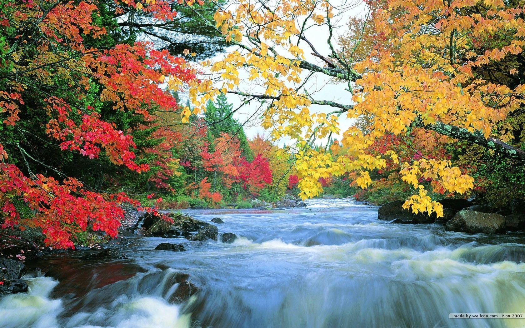  Free Fall Foliage Desktop Wallpaper of the decade The ultimate guide 