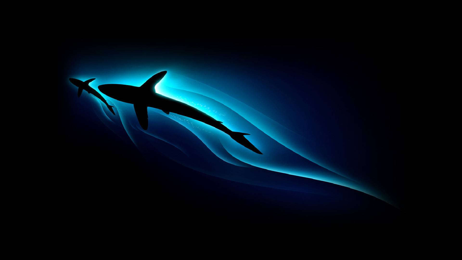 image For > Cool Background Wallpaper For Computer