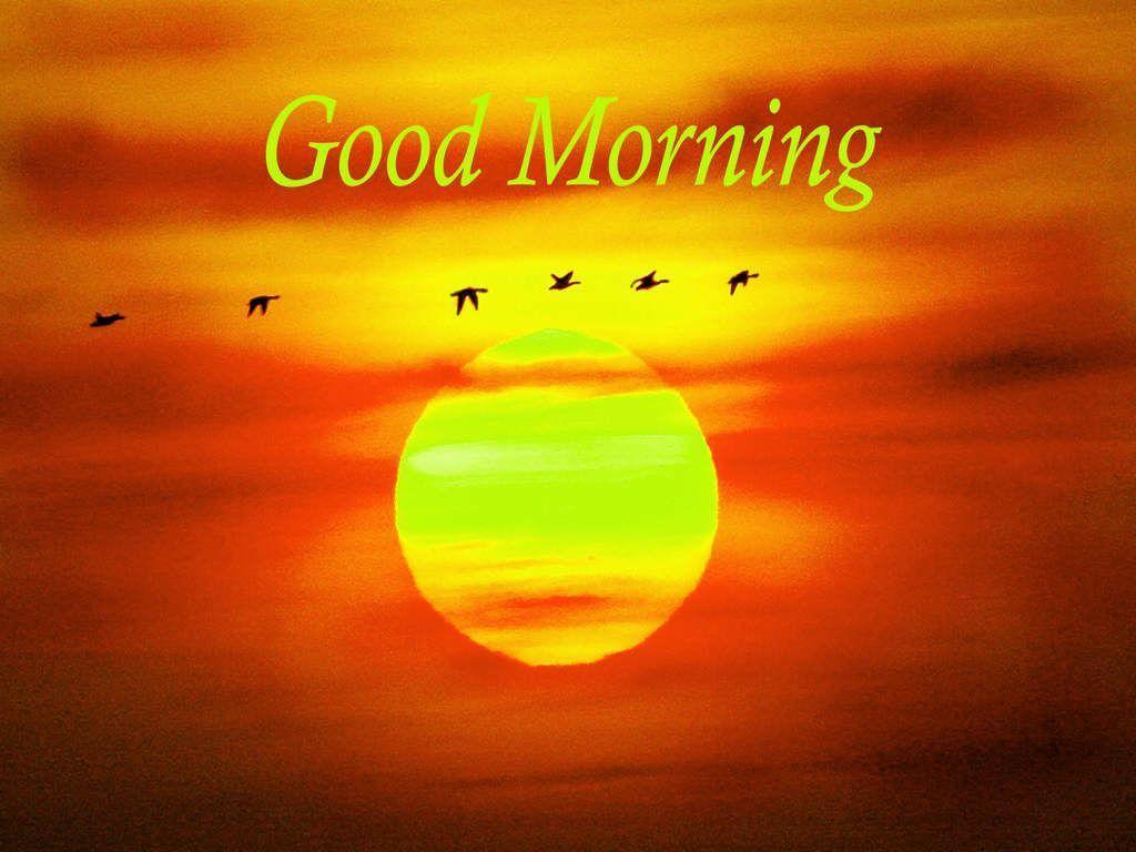 Good Morning sunrise picture with sun free download good morning