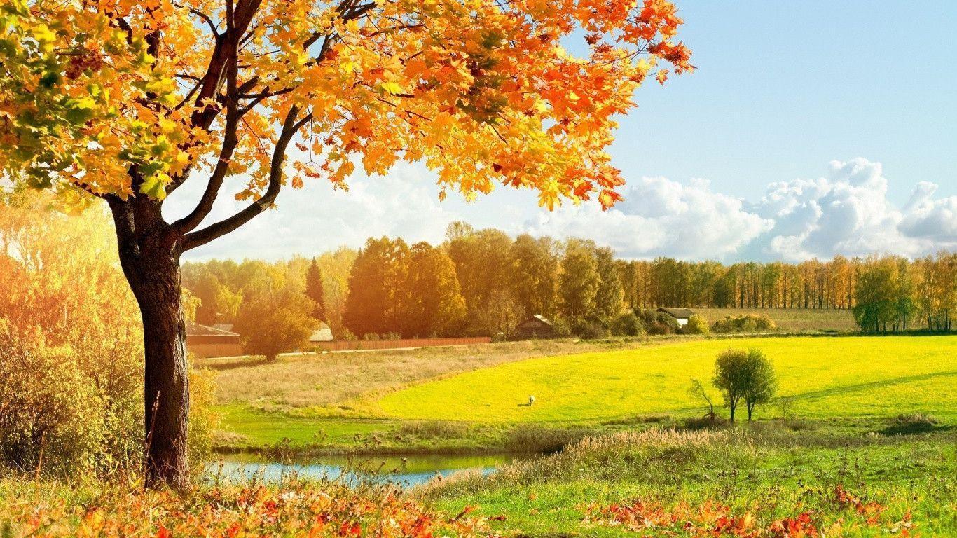 Autumn Landscape Wallpaper 1366x768 Wallpaper HD Download