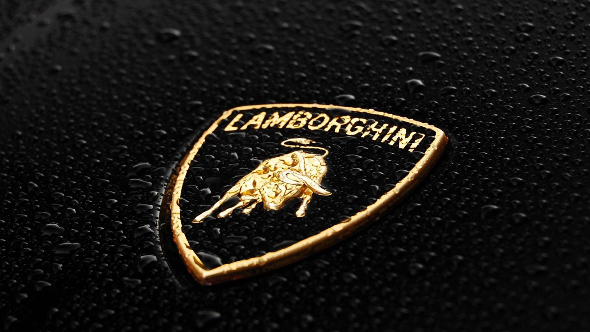 Lamborghini Car Company Logo HD Wallpaper. Cars Background