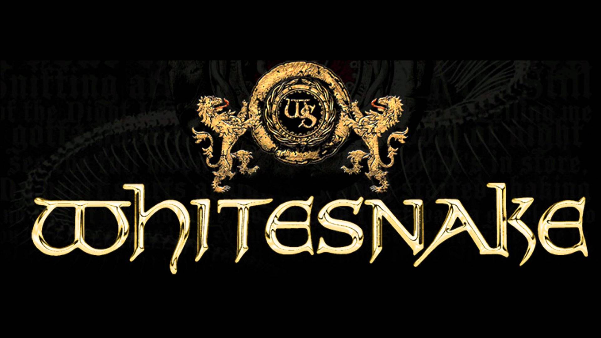 image For > Whitesnake Wallpaper