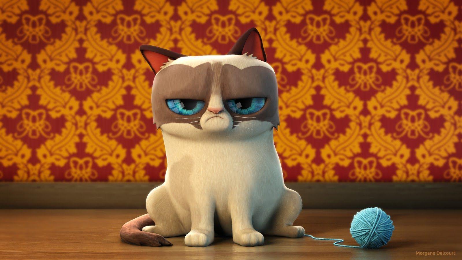 Grumpy Cat Wallpaper For Android Wallpaperual