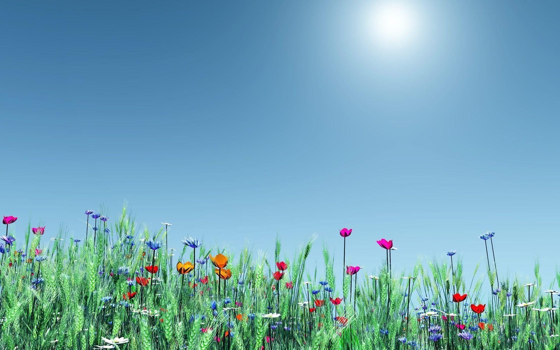 Related Picture Spring Flowers Windows 7 Flowers Desktop
