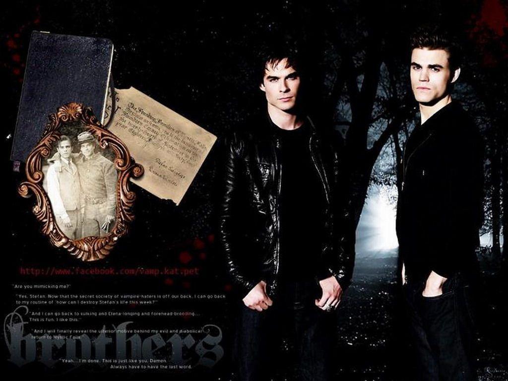 Stefan & Damon Vampire Diaries Wallpaper