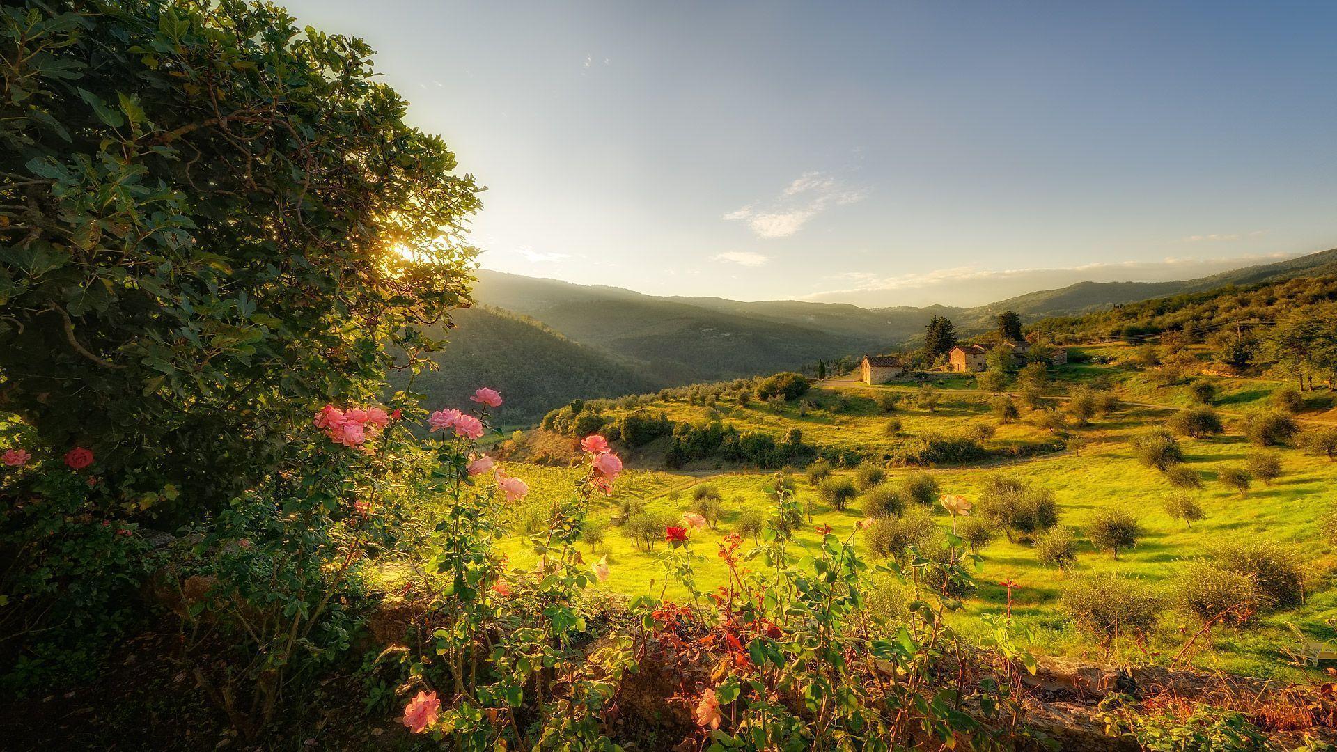 Download Free Tuscany Wallpaper 30316 1920x1080 px High Resolution