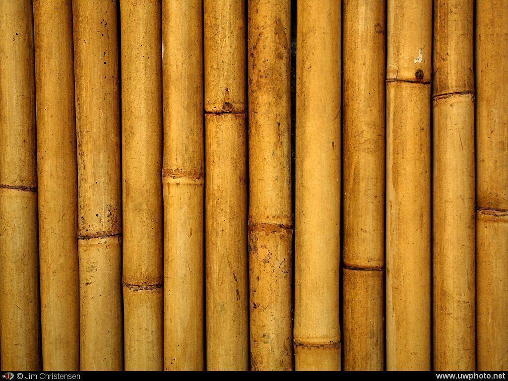 Bamboo For Walls Wallpaper and Background