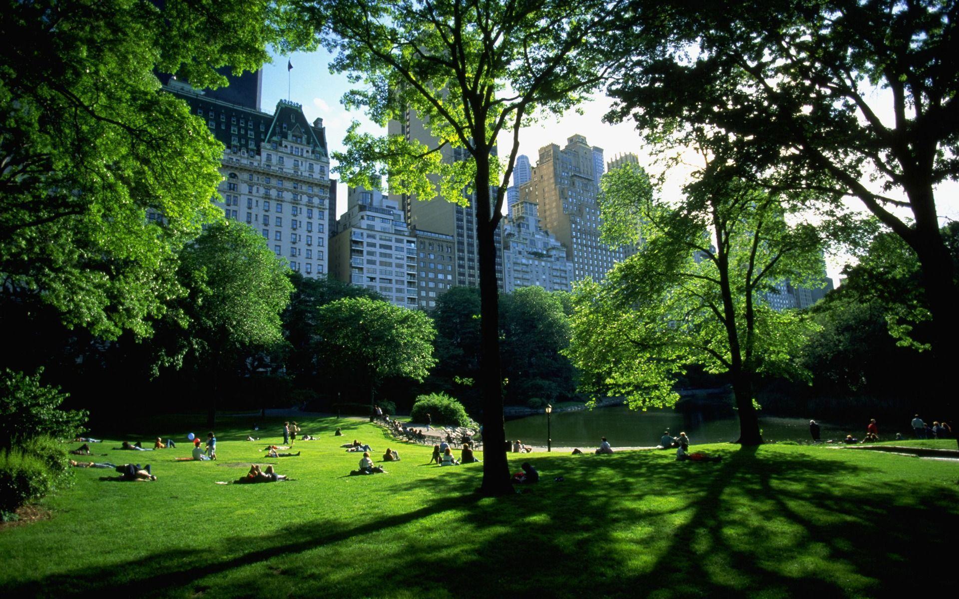 Central Park, NY wallpaper and image, picture, photo