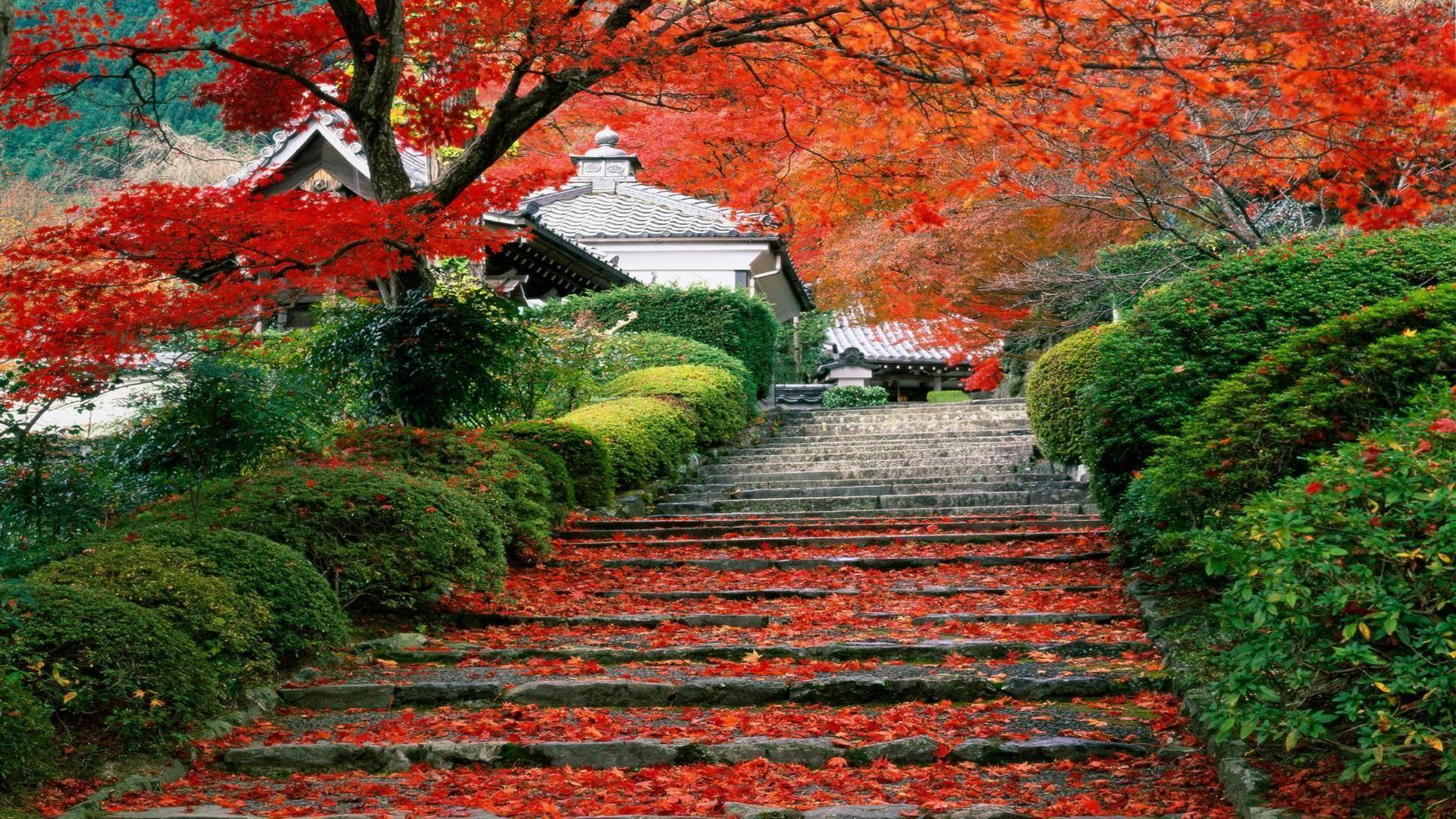 Garden staircase Kyoto Japan free desktop background