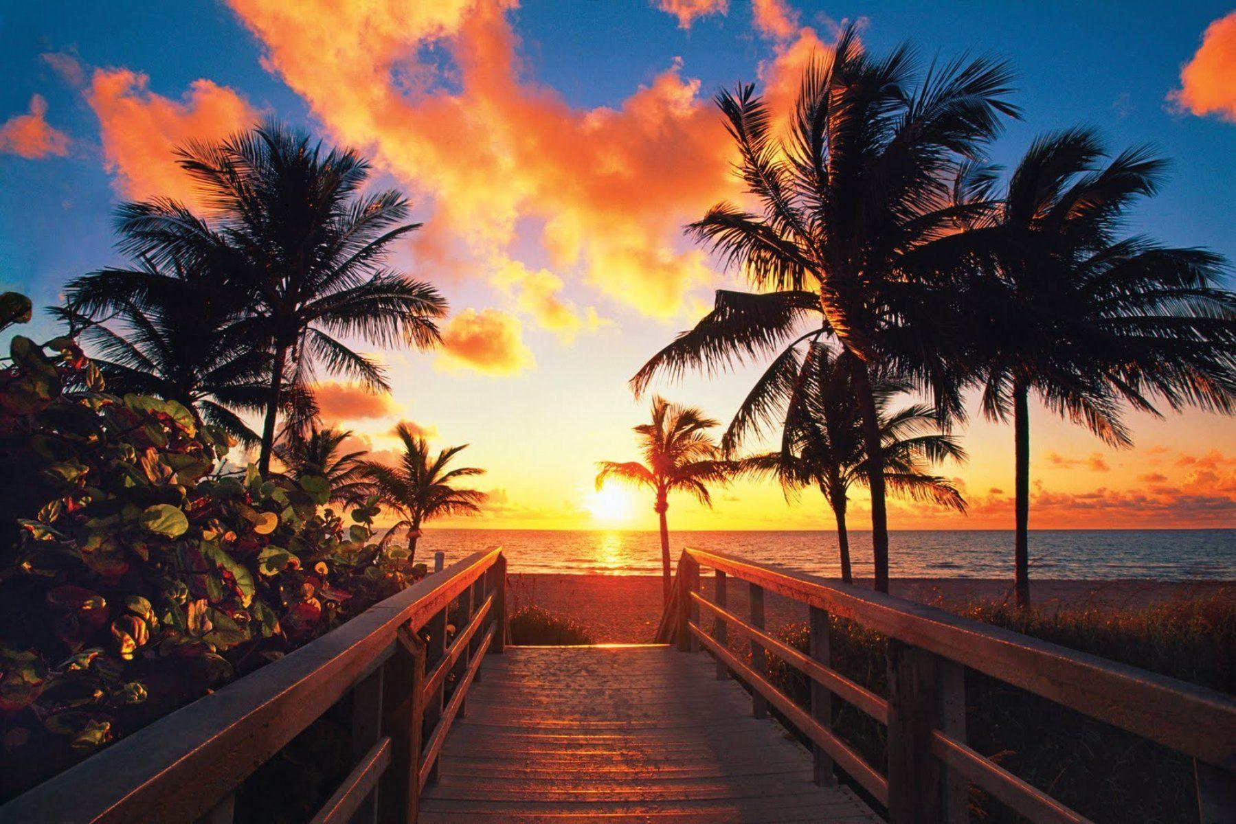 Tropical Beach Sunrise Picture Download Tropical Beach Sunrise