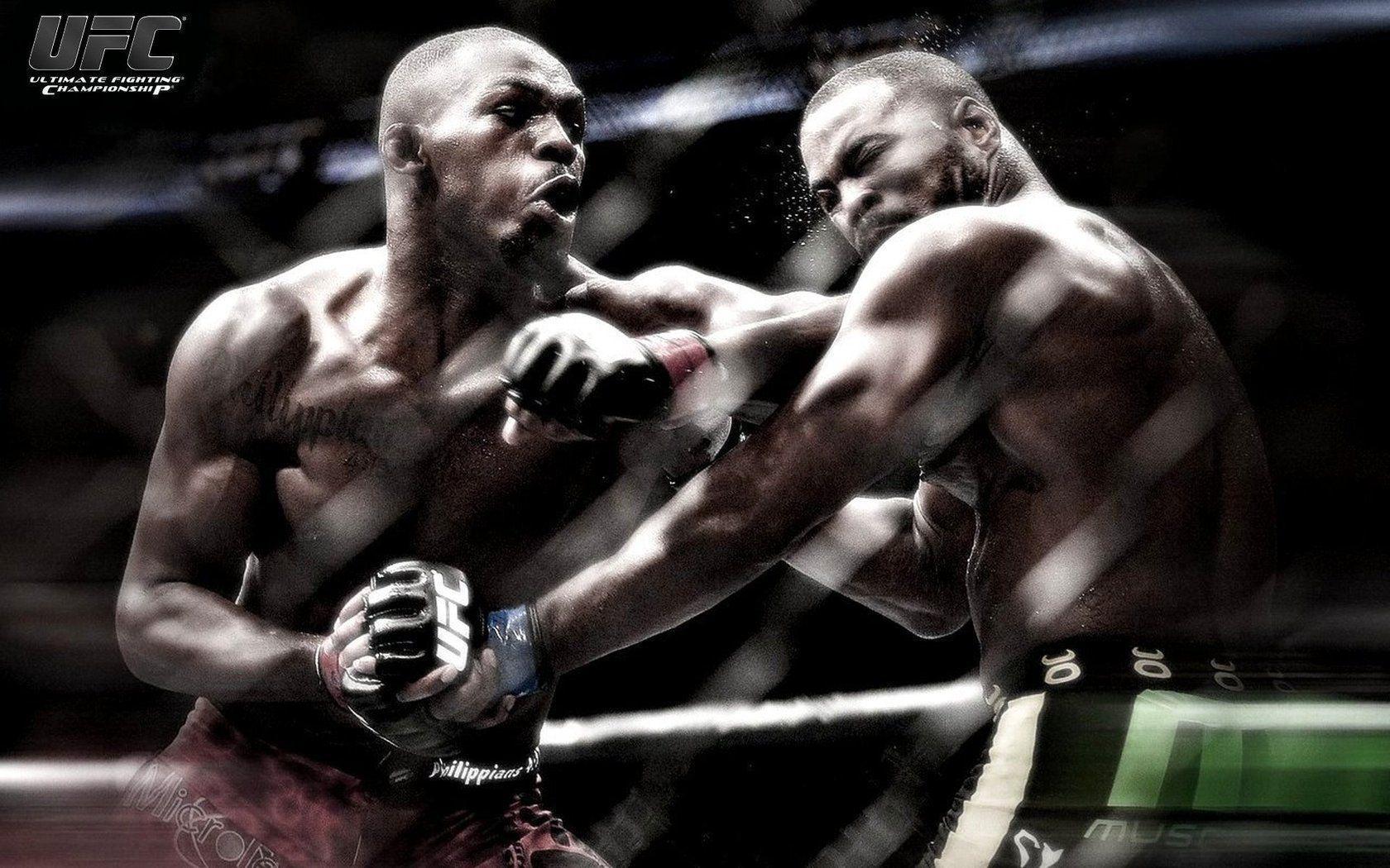 UFC Fighting Wallpaper HD 2014