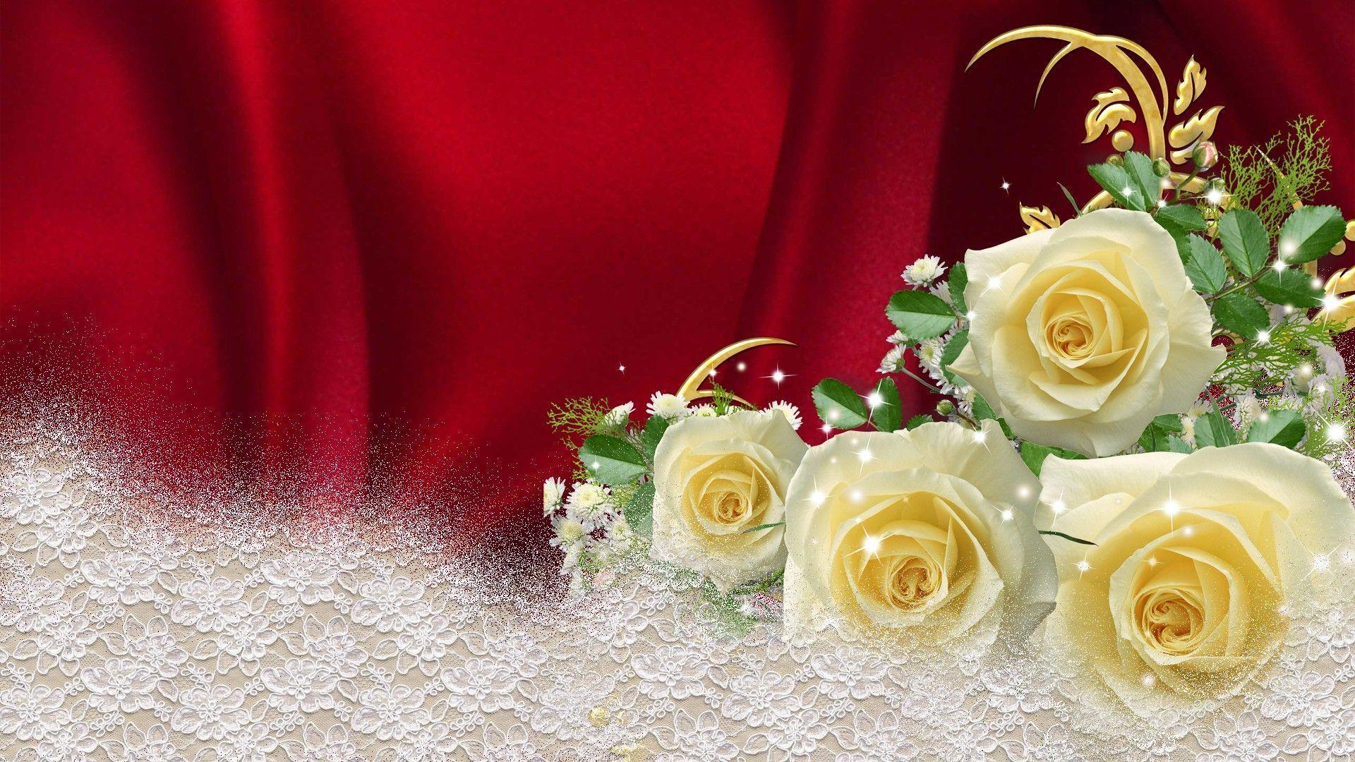 HD Yellow Roses On Red Satin Wallpaper
