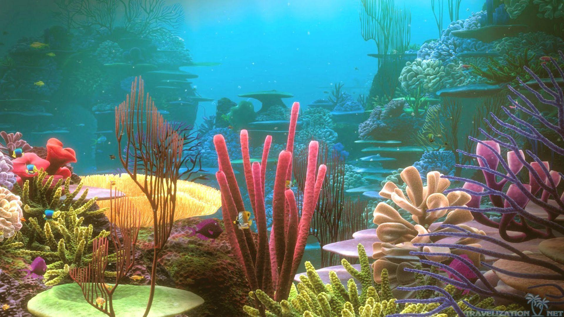 Colorful Coral Reef Desktop, Under Water Wallpaper, HD phone