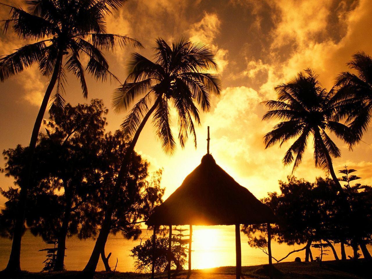 tropical island beach scenery golden sunset desktop wall