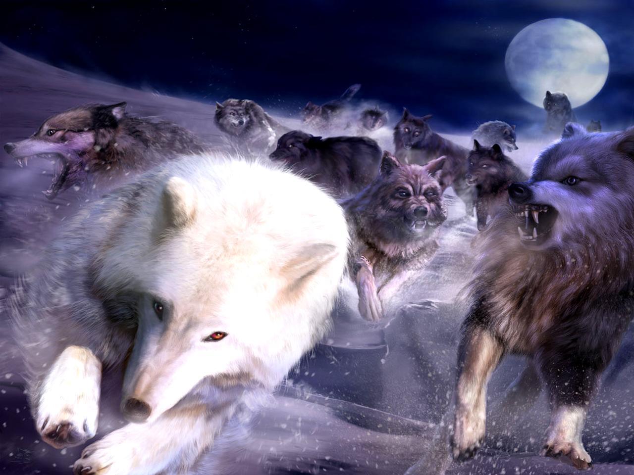Wolf Pack Image & Picture