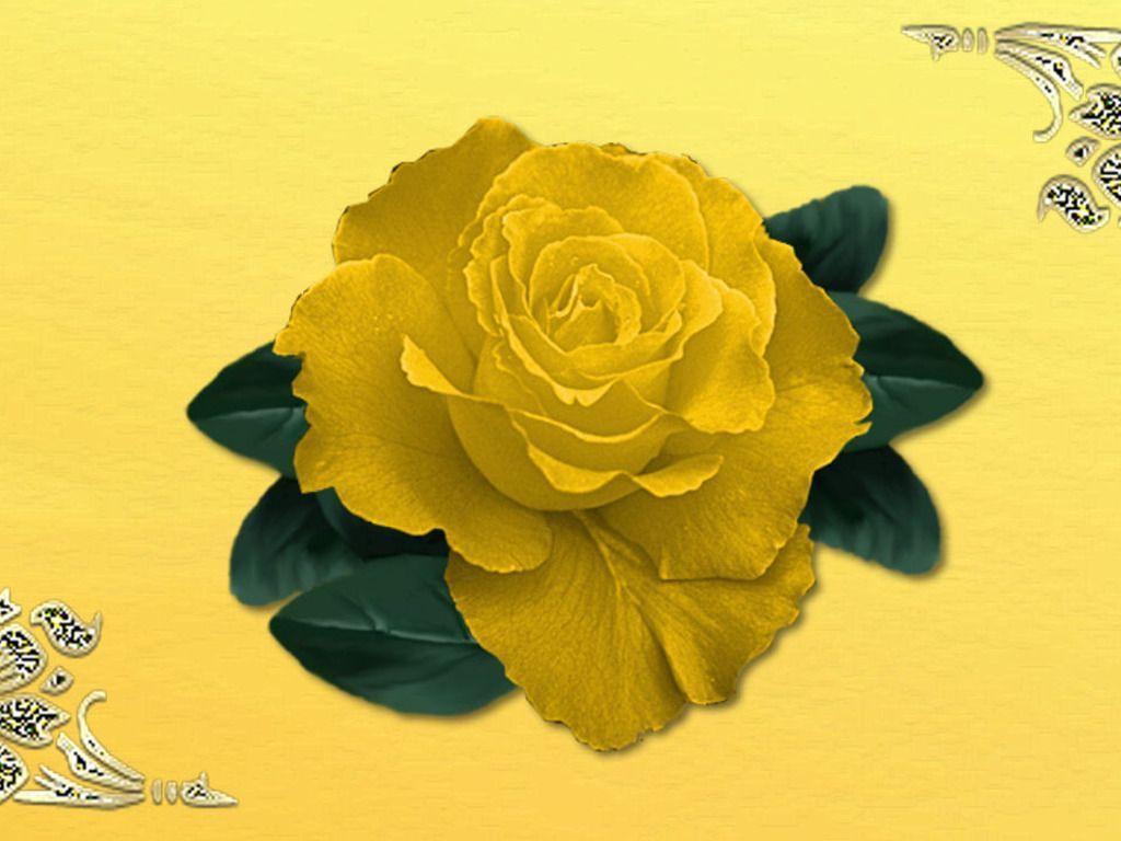 Wallpaper For > Wallpaper Rose Yellow