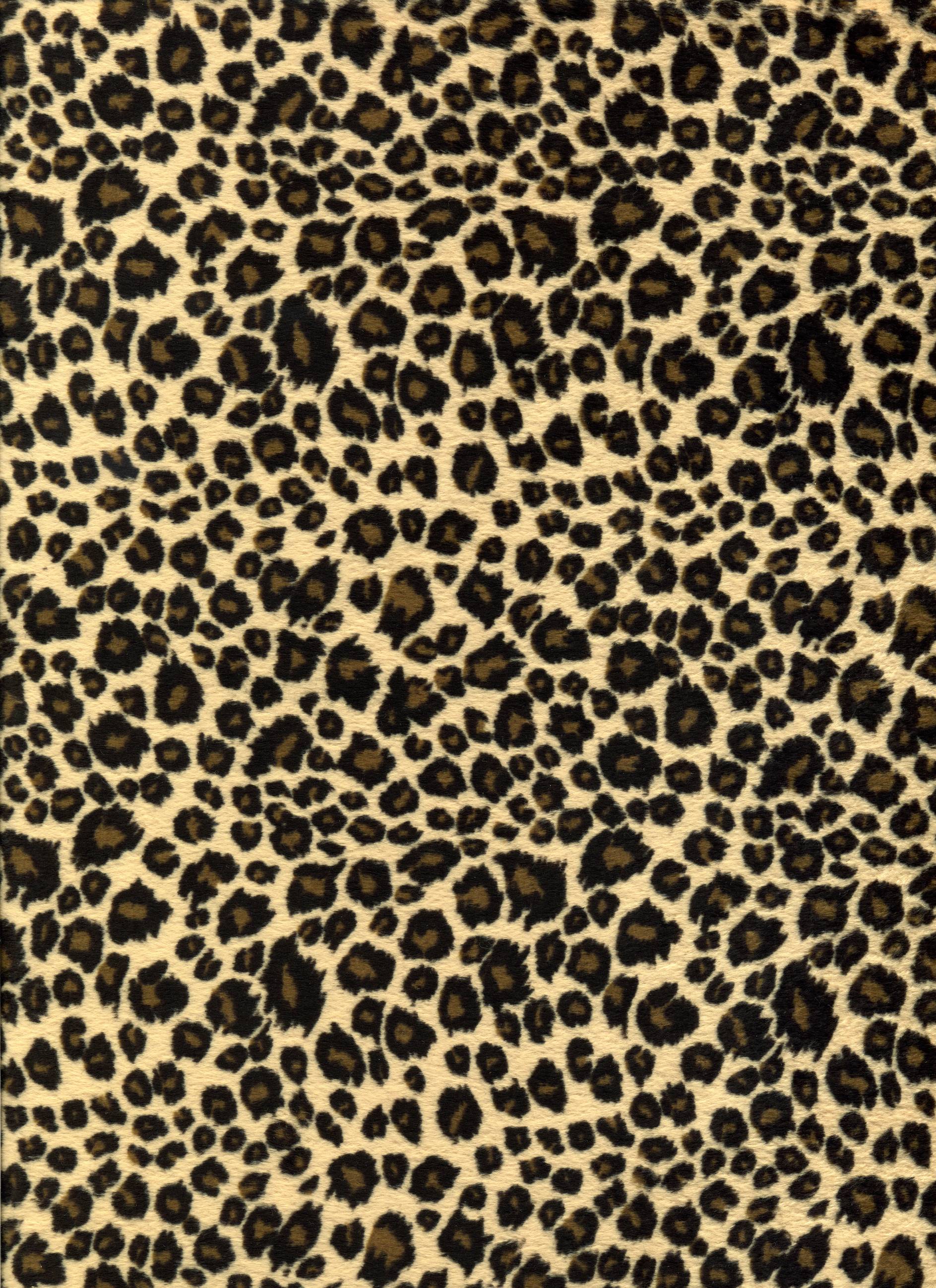 Leopard Background Wallpaper For Android