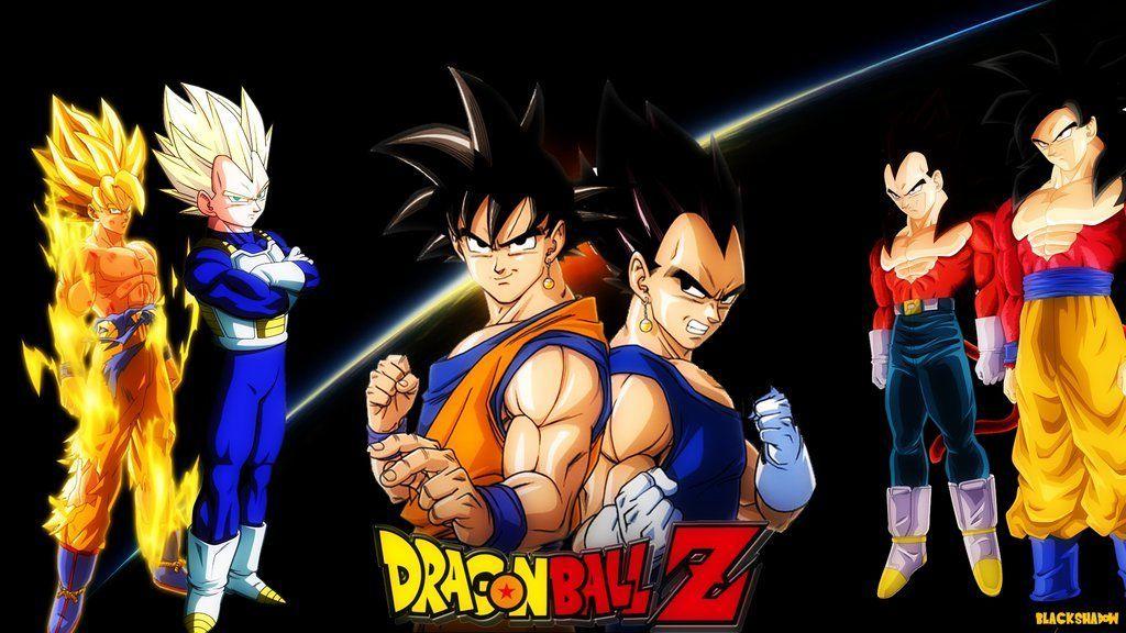 Dragon Ball Z Goku and Vegeta Wallpaper