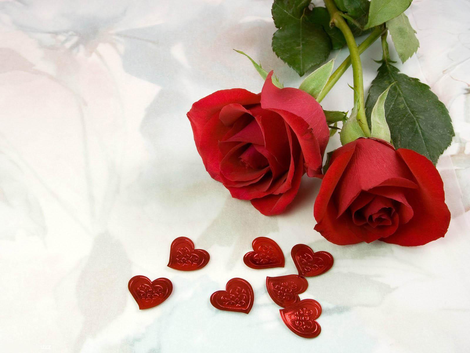 image For > Wallpaper Flower Rose Love HD