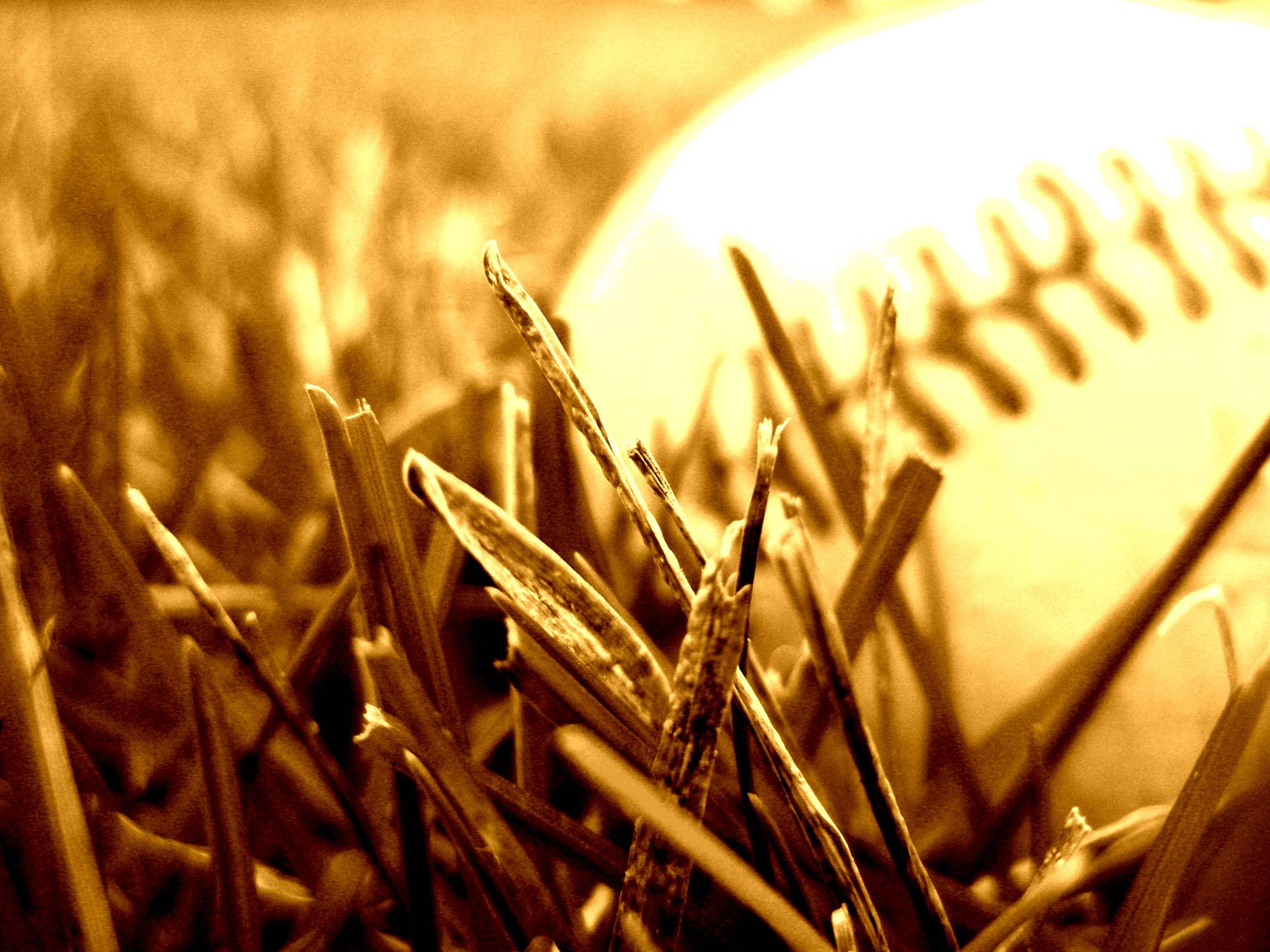 Baseball HD Wallpaper Background iPhone 5 23633 HD Picture. HD