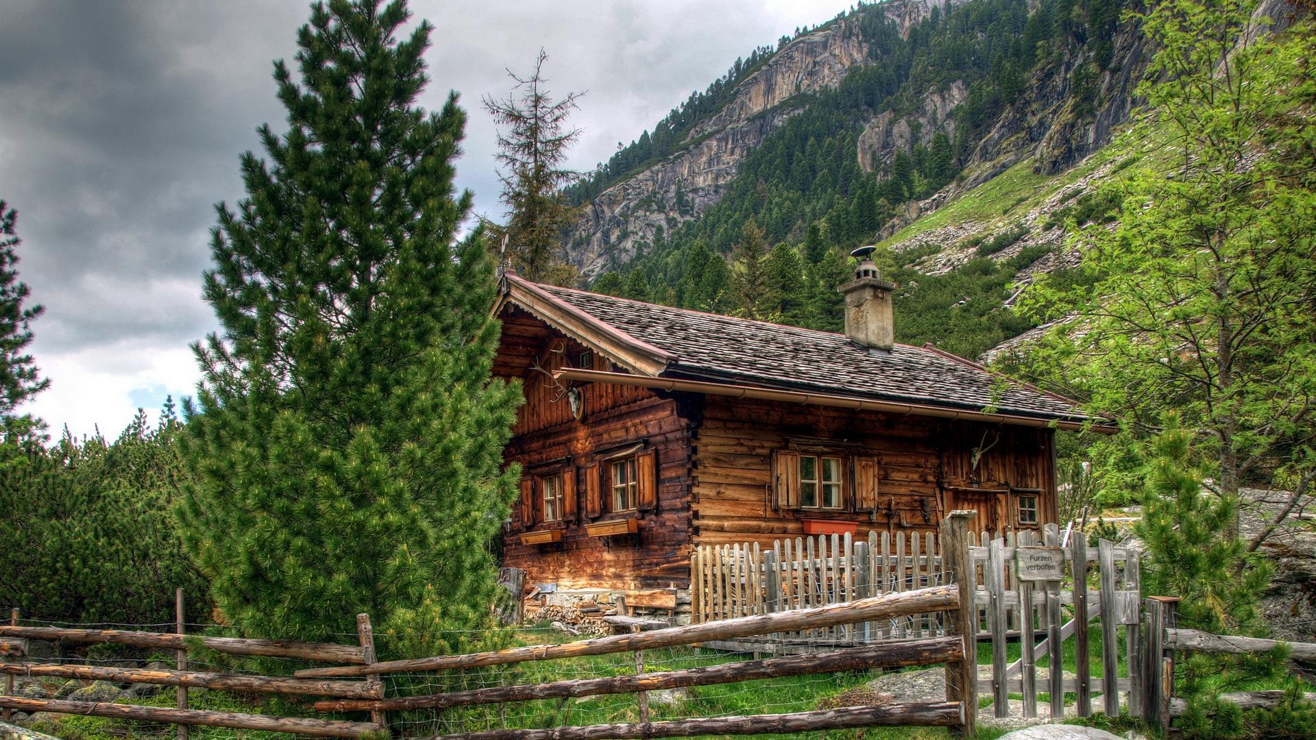 log cabin wallpaper living room