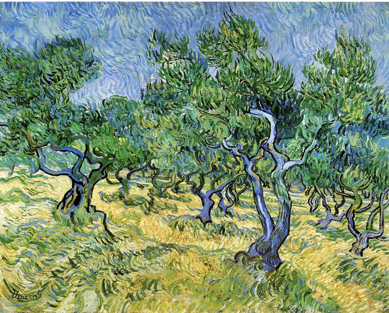 Olive Grove 2 Impressionist Vincent Van Gogh Art Wallpaper