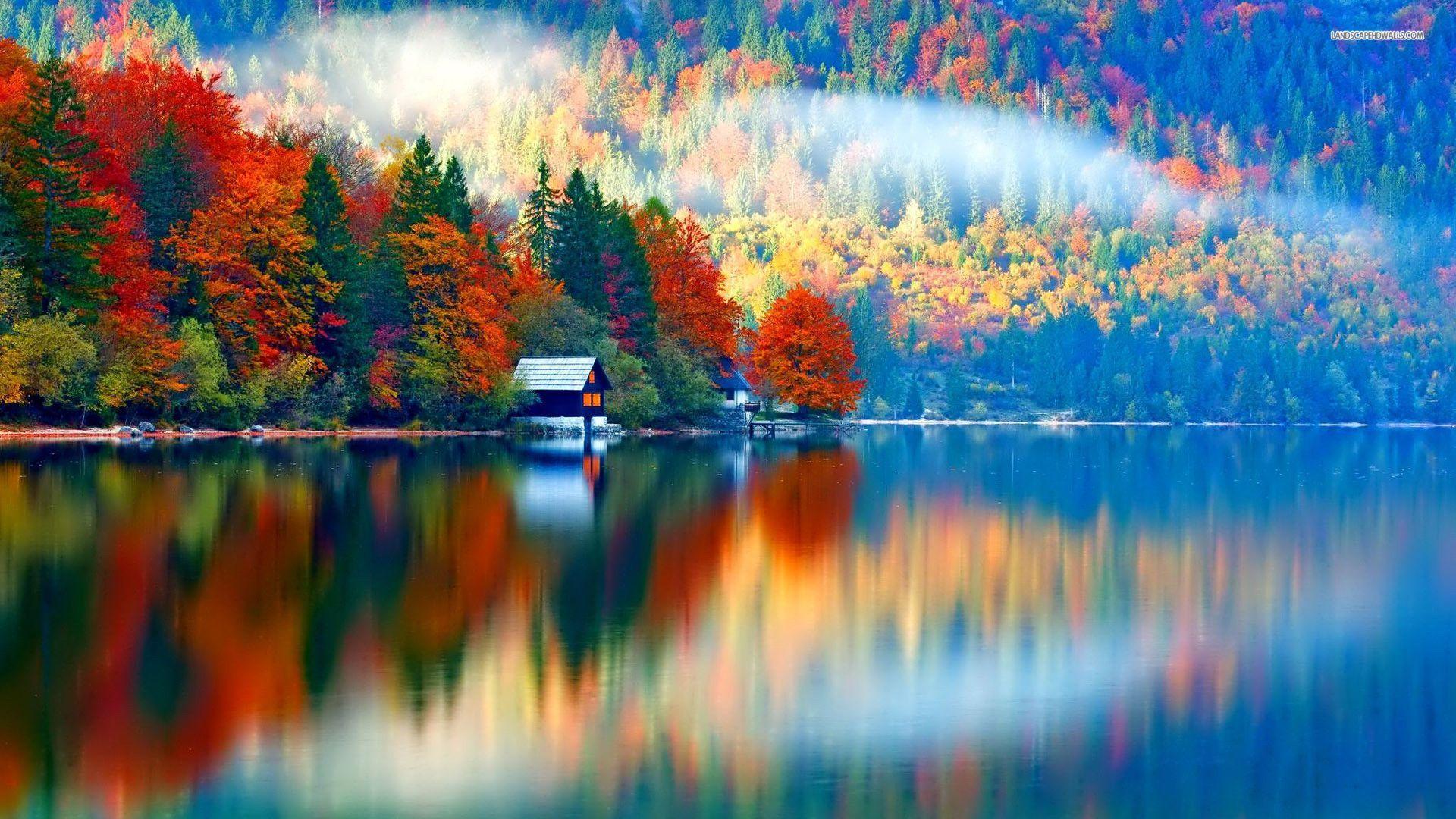 Amazing fall colors on the lake side wallpaper #