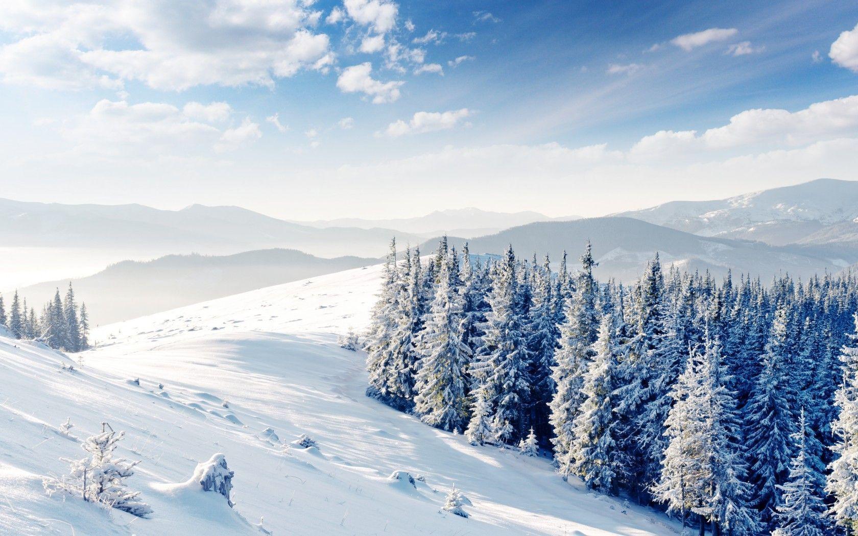 Winter Mountains Tree Landscape Wallpaper, iPhone Wallpaper