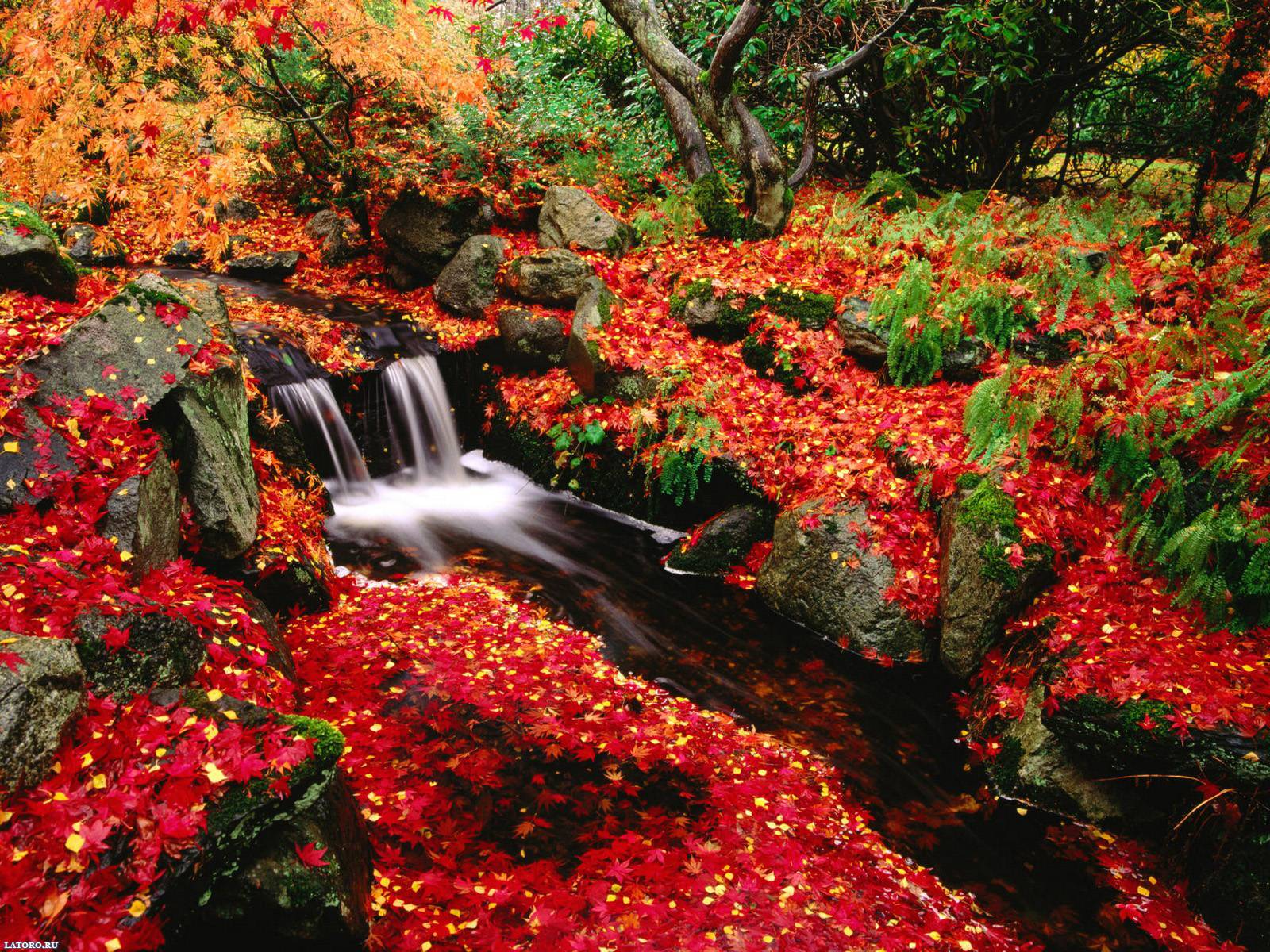 Fall Screen Backgrounds - Wallpaper Cave