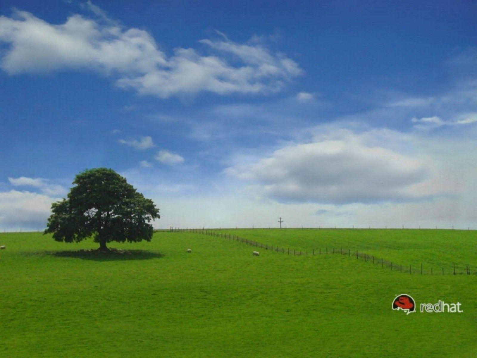 Green Nature Linux RedHat Wallpaper The Perfect Red Hat Desktop