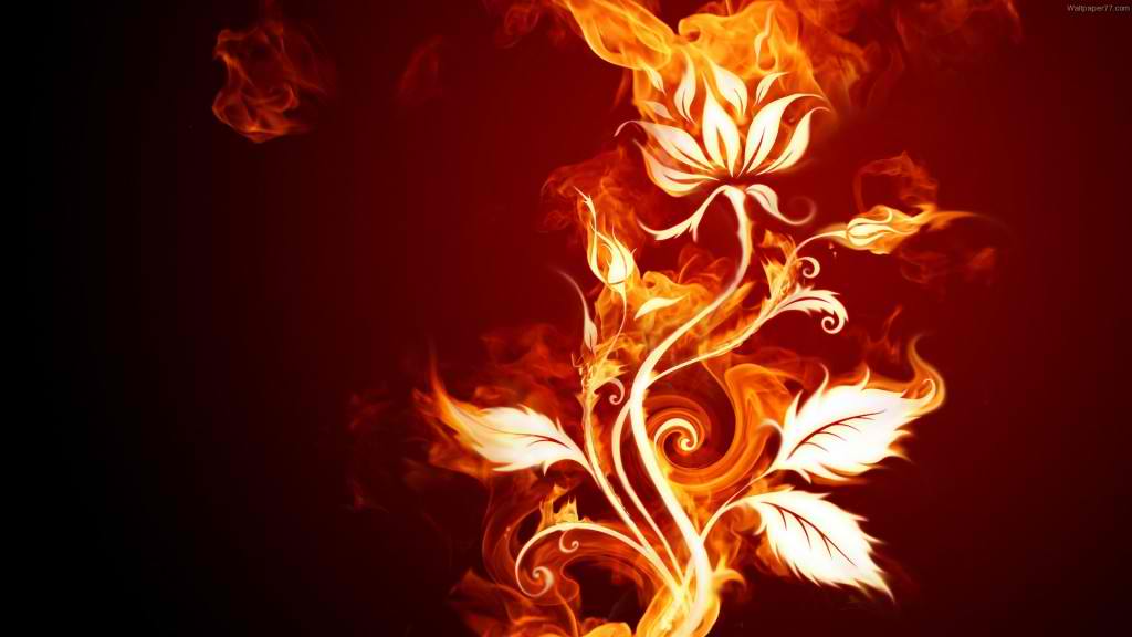 Latest Fire Flower Abstract HD Wallpaper HD