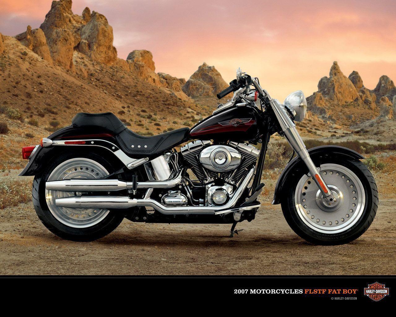 Harley Davidson Fatboy Lo Wallpaper