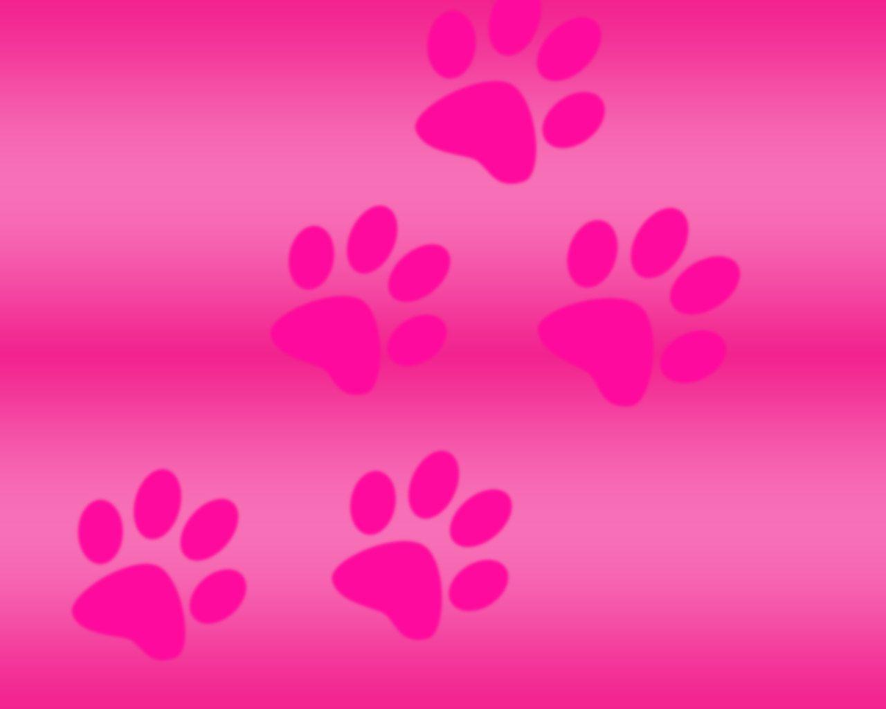 Wallpaper For > Pink Desktop Wallpaper