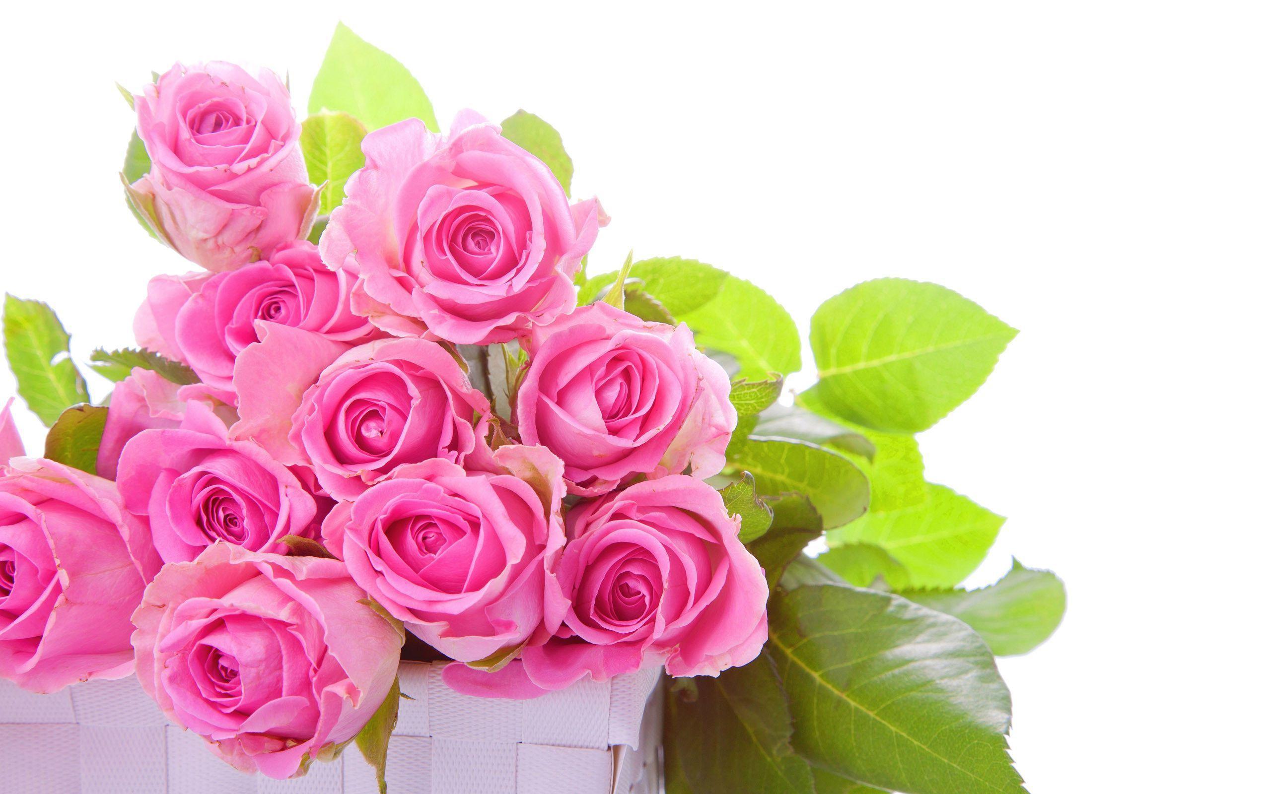 Pink roses bouquet Wallpaper #