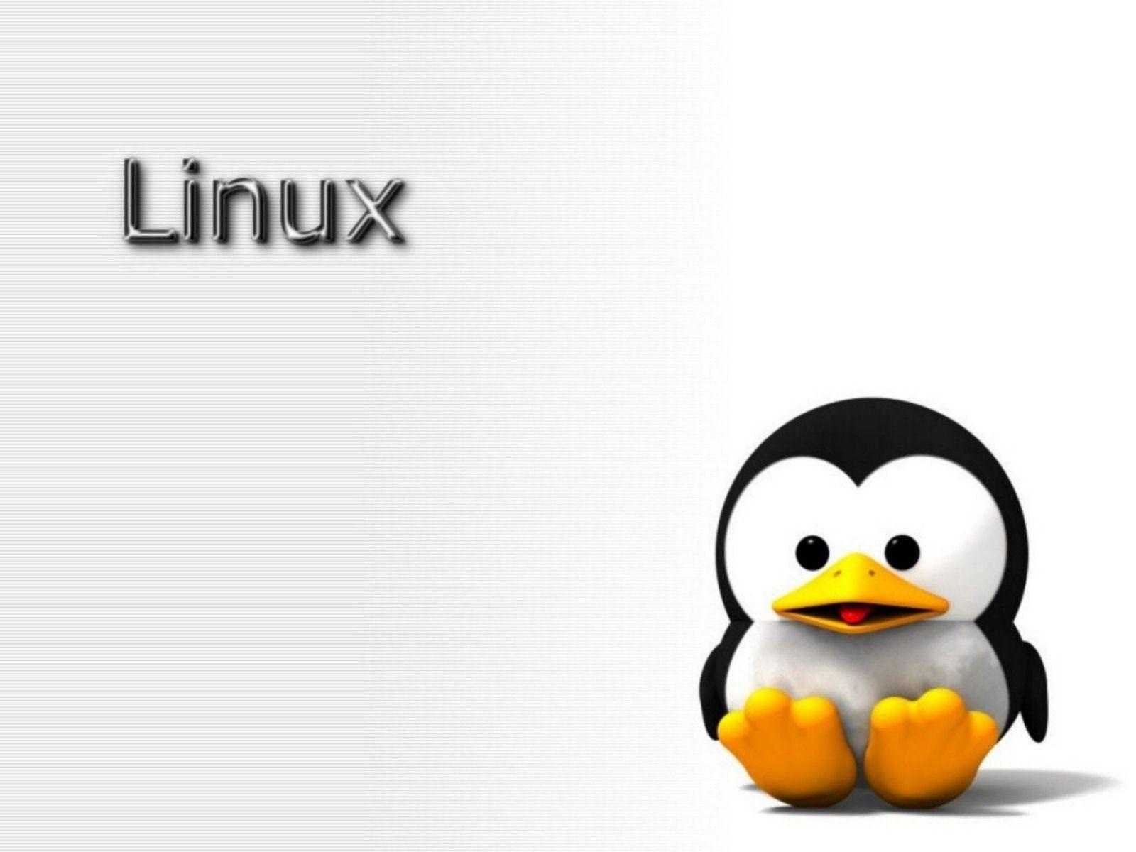 Linux Tux Wallpaper for Desktop Little Tux is Free Again