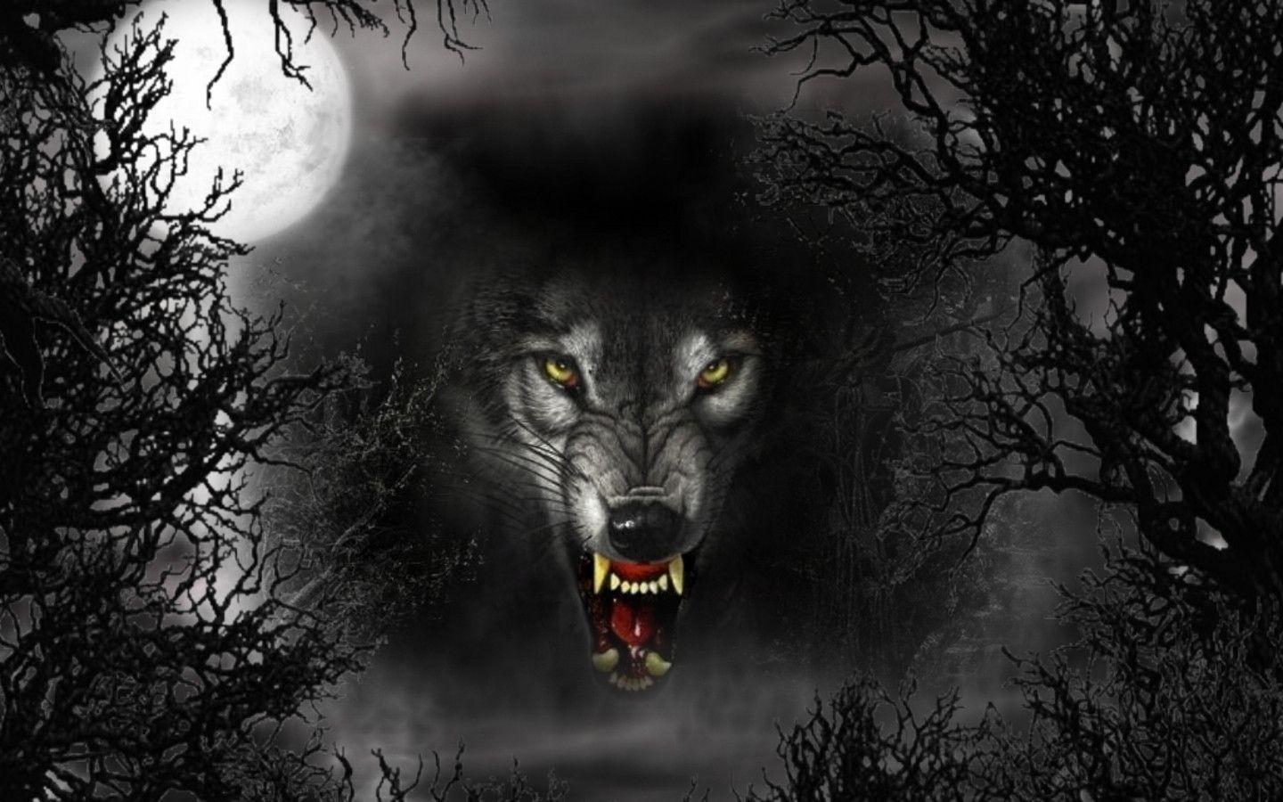 Black Wolf Wallpaper and Background