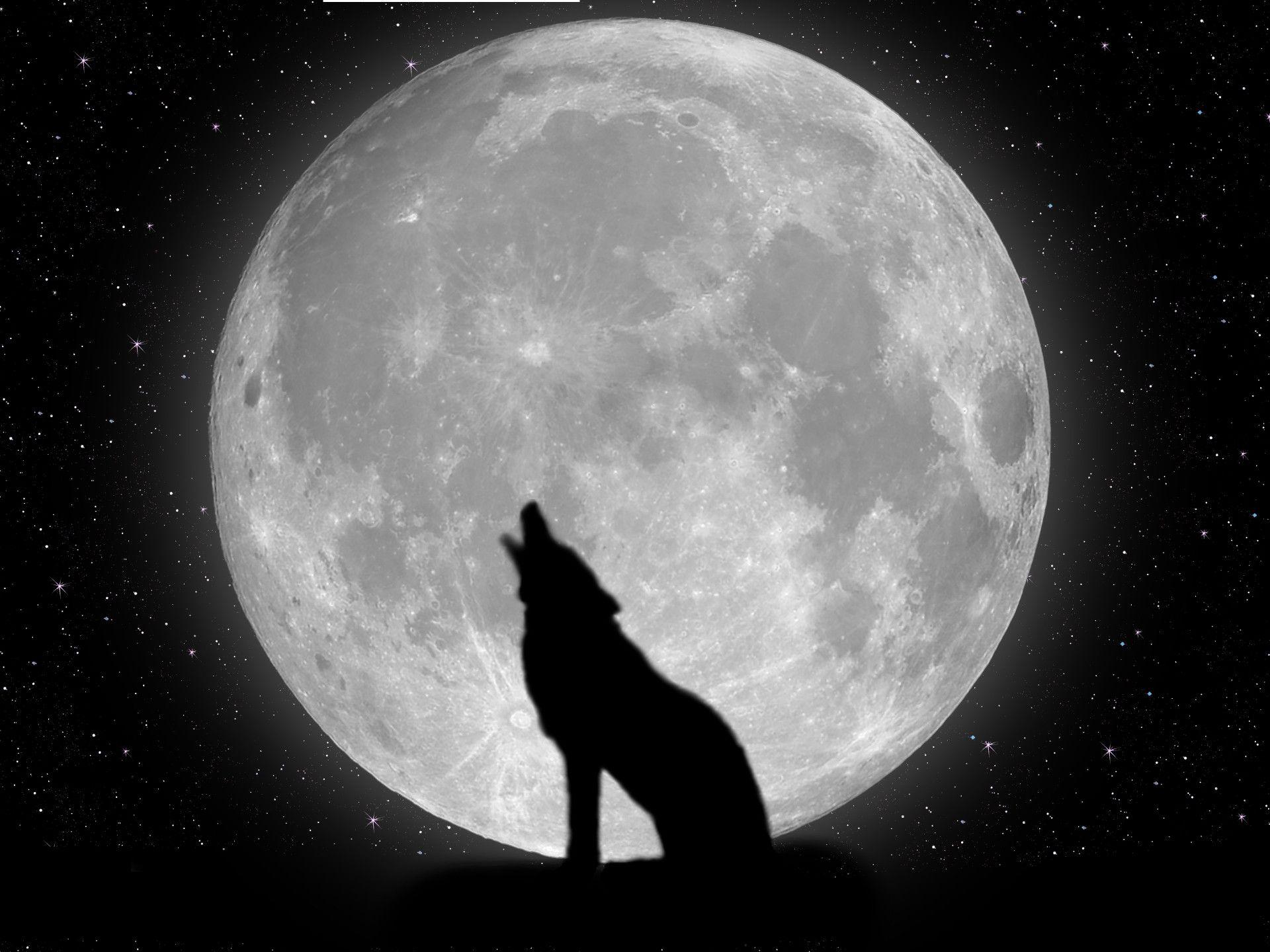 Awesome Wolf Big Moon Wallpaper Desktop. Free Wallpaper