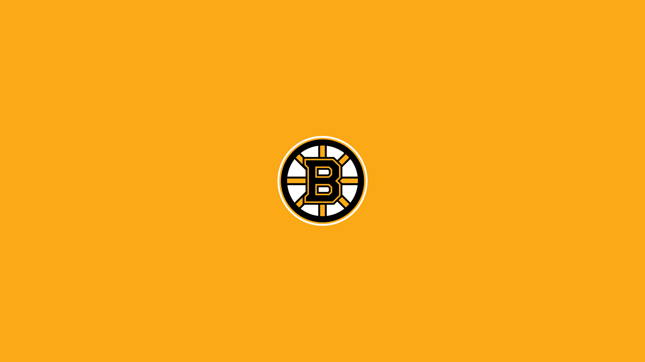 Boston Bruins Bear Logo Wallpaper
